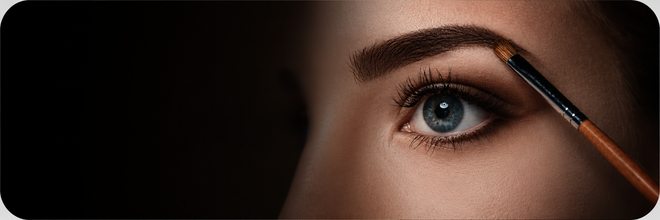 AS LIGHT BROWS MASTER PROGRAM